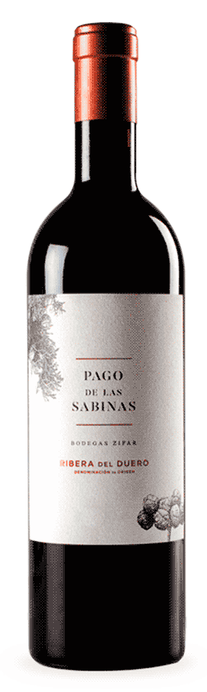 Z-Pago-Sabinas