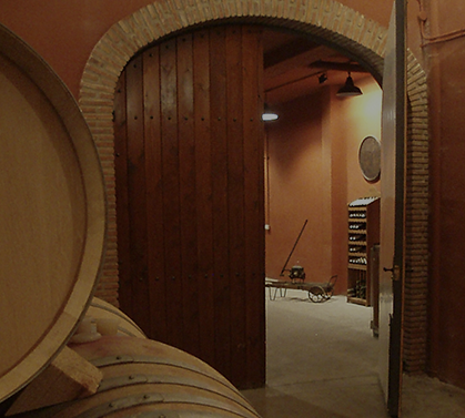 bodega2